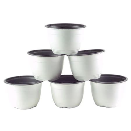 Poppelmann Poppelmann VAA717P6 6 in. Plastic Pot White & Gray - Pack of 6 VAA717P6